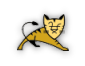 Apache Tomcat 5.5.25 